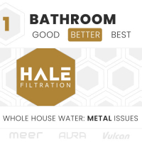 1 BATH: Metal Issues (Better)